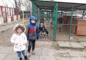 Przedszkolaki z wizytą w schronisku.
