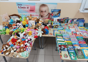Kiermasz książek i maskotek. Pomagamy Zosi.