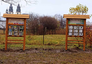 Klasa z drewna - ogród edukacyjno relaksacyjny