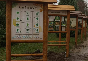 Klasa z drewna - ogród edukacyjno relaksacyjny