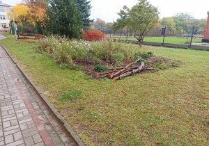 Porządkowanie terenu