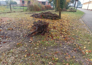 Porządkowanie terenu