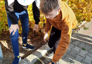 Gry terenowe