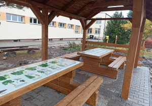 Klasa z drewna - ogród edukacyjno relaksacyjny