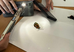 Warsztaty fotograficzne