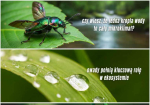 Warsztaty fotograficzne