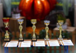 Podsumowanie współzawodnictwa sportowego 2024/2025