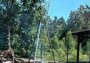 Aktywnie i zdrowo w lesie!