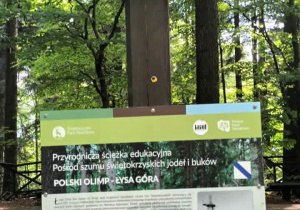 Wycieczka w Góry Świętokrzyskie klas drugich